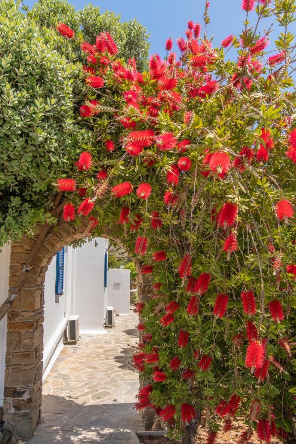 Sail Inn Agios Romanos Buitenkant foto